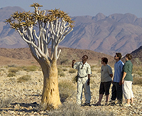 Namibia walking tour safari