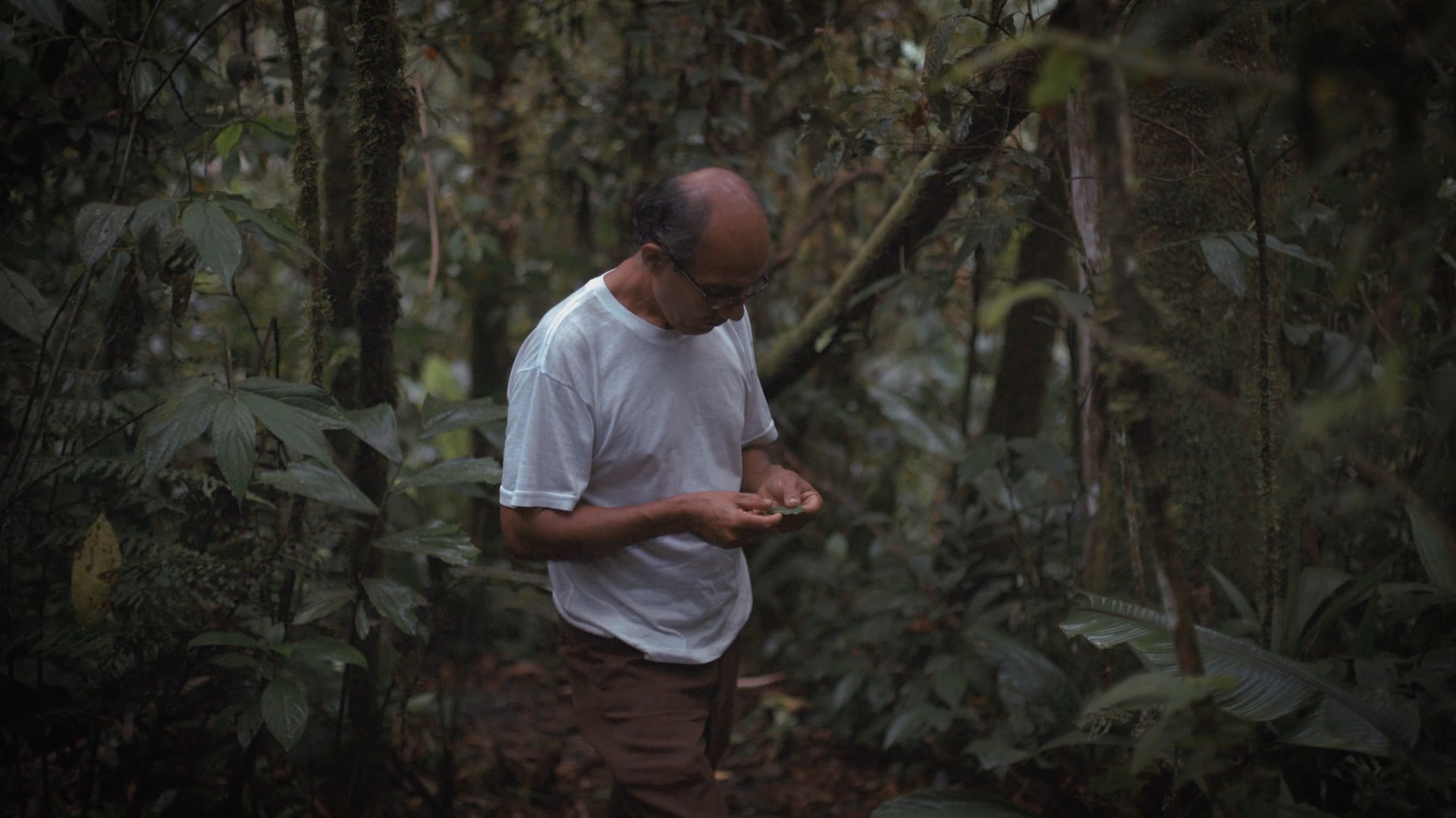 photo of In Ecuador, One Man’s Mission to Restore a Piece of the Rainforest image