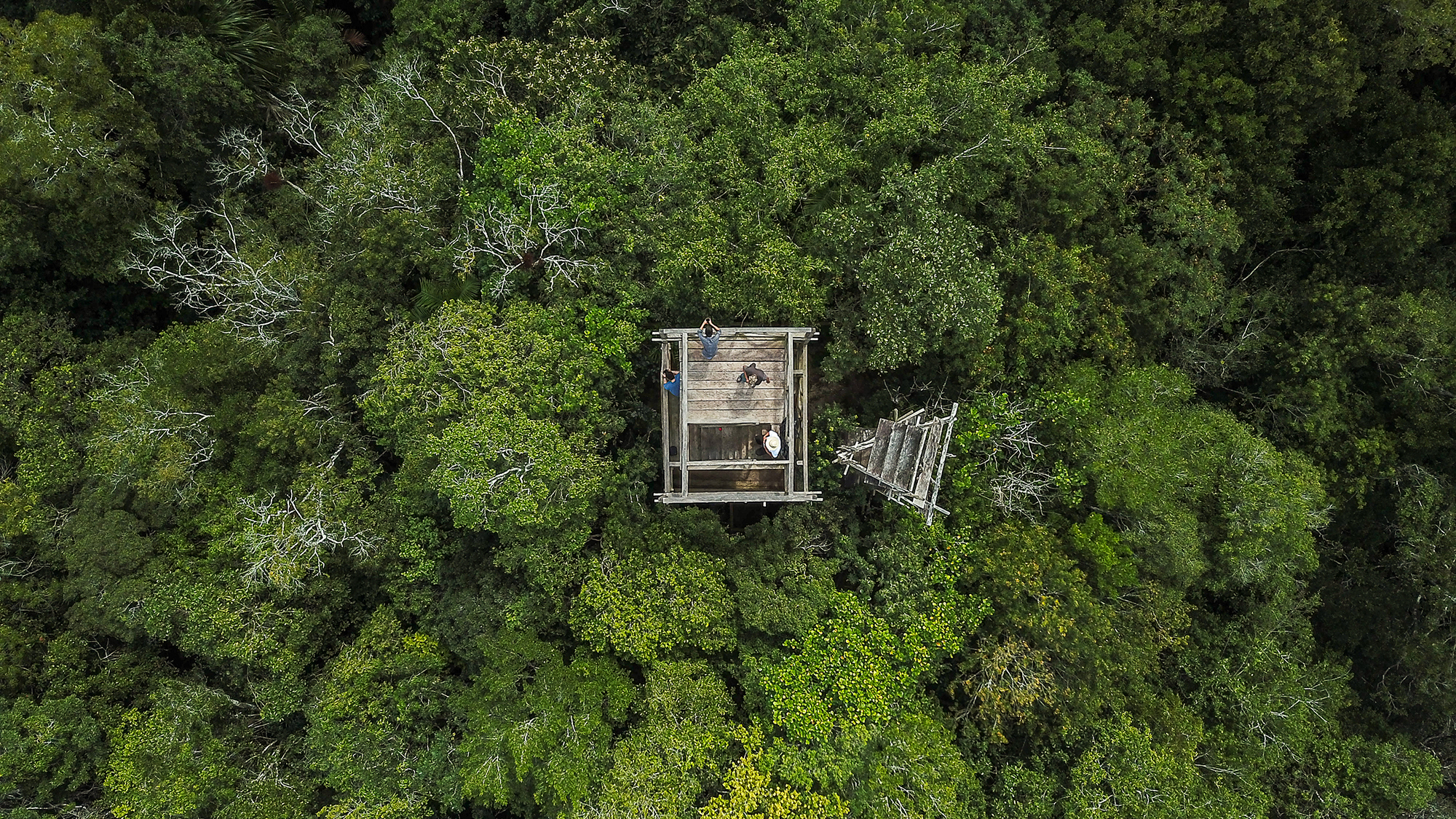 photo of Parks vs. People: In Guatemala, Communities Take Best Care of the Forest image