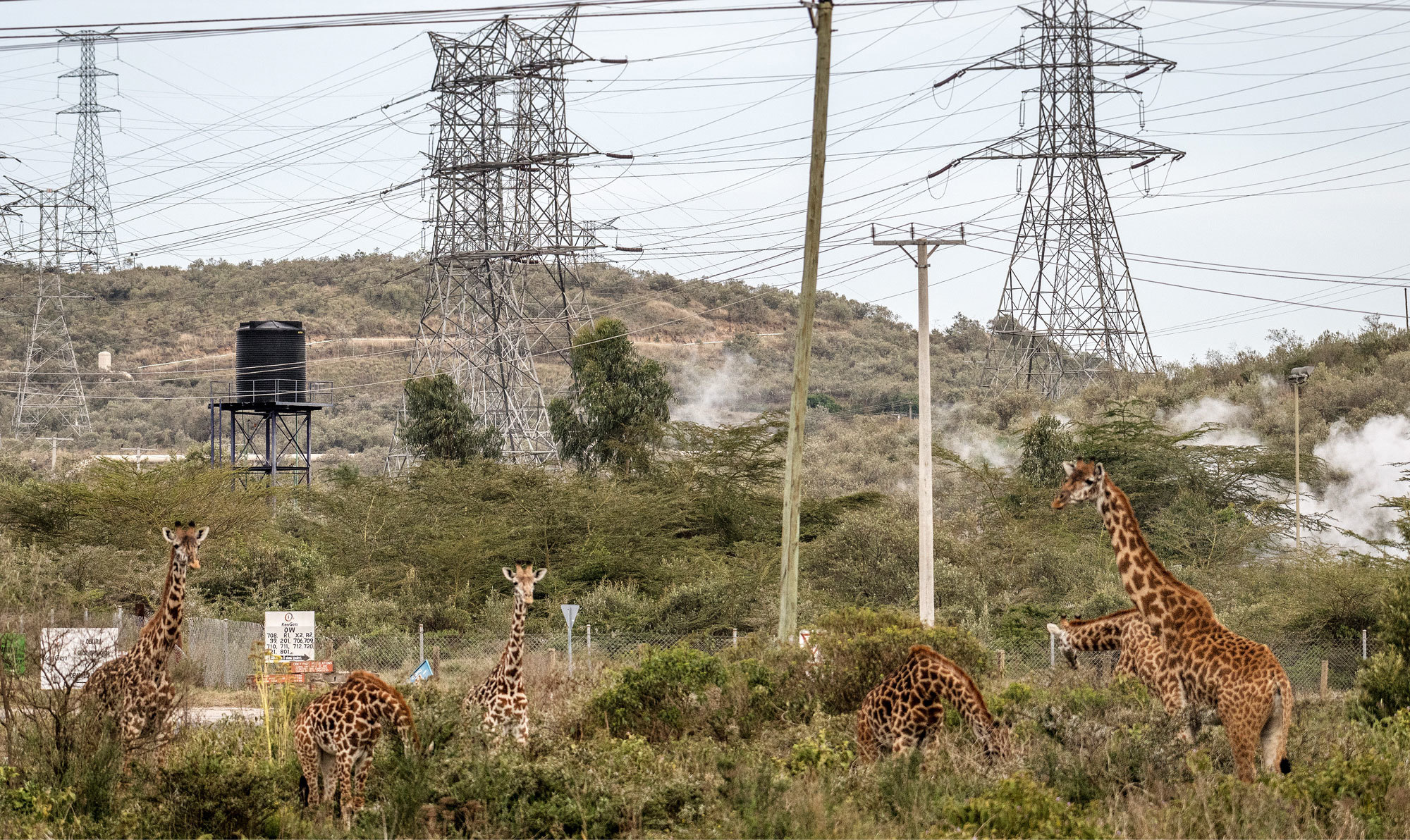 photo of How Kenya’s Push for Development Is Threatening Its Prized Wild Lands image