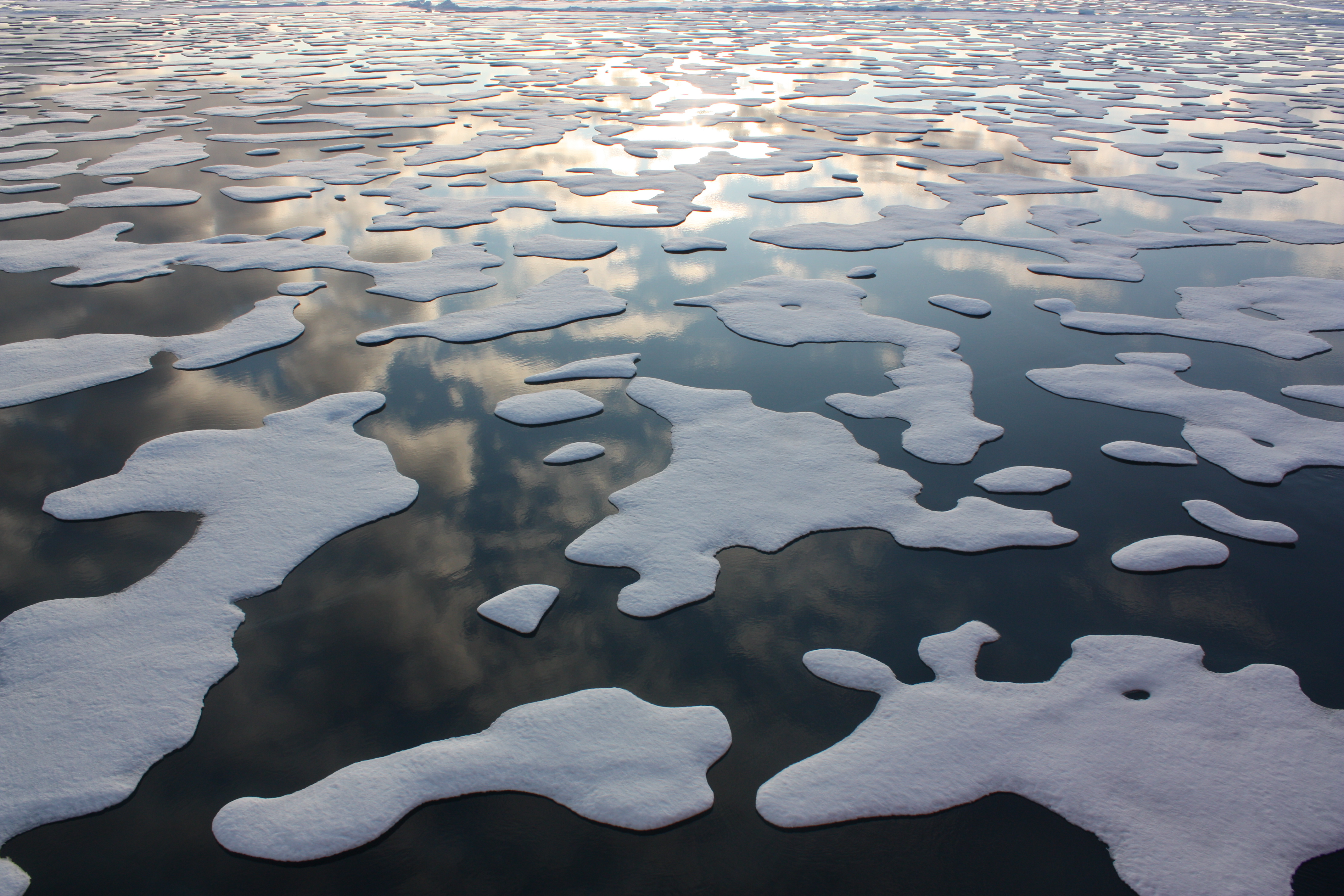 The Global Impacts of Rapidly Disappearing Arctic Sea Ice - Yale E360
