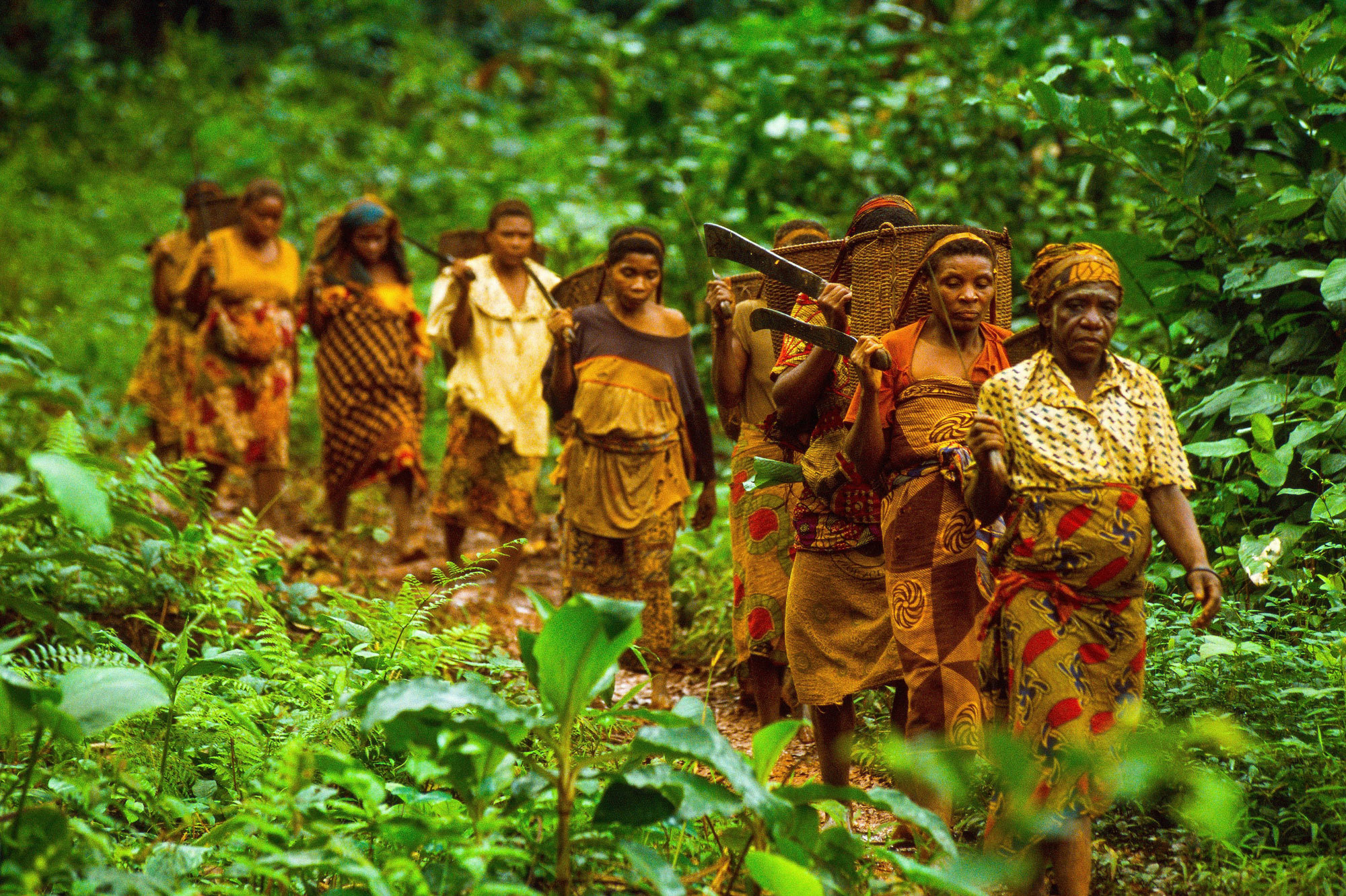 Green Violence Eco Guards Are Abusing Indigenous Groups In Africa 