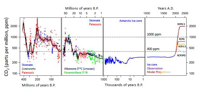 Уровни CO2 за последние 400 миллионов лет. В последний раз уровень CO2 был таким высоким, как сегодня, около 3 миллионов лет назад.Справа представлены различные прогнозы будущих уровней CO2 от Межправительственной группы экспертов по изменению климата; при наихудшем сценарии концентрация CO2 вырастет до 2000 частей на миллион к 2500 году с сегодняшних 400 частей на миллион.