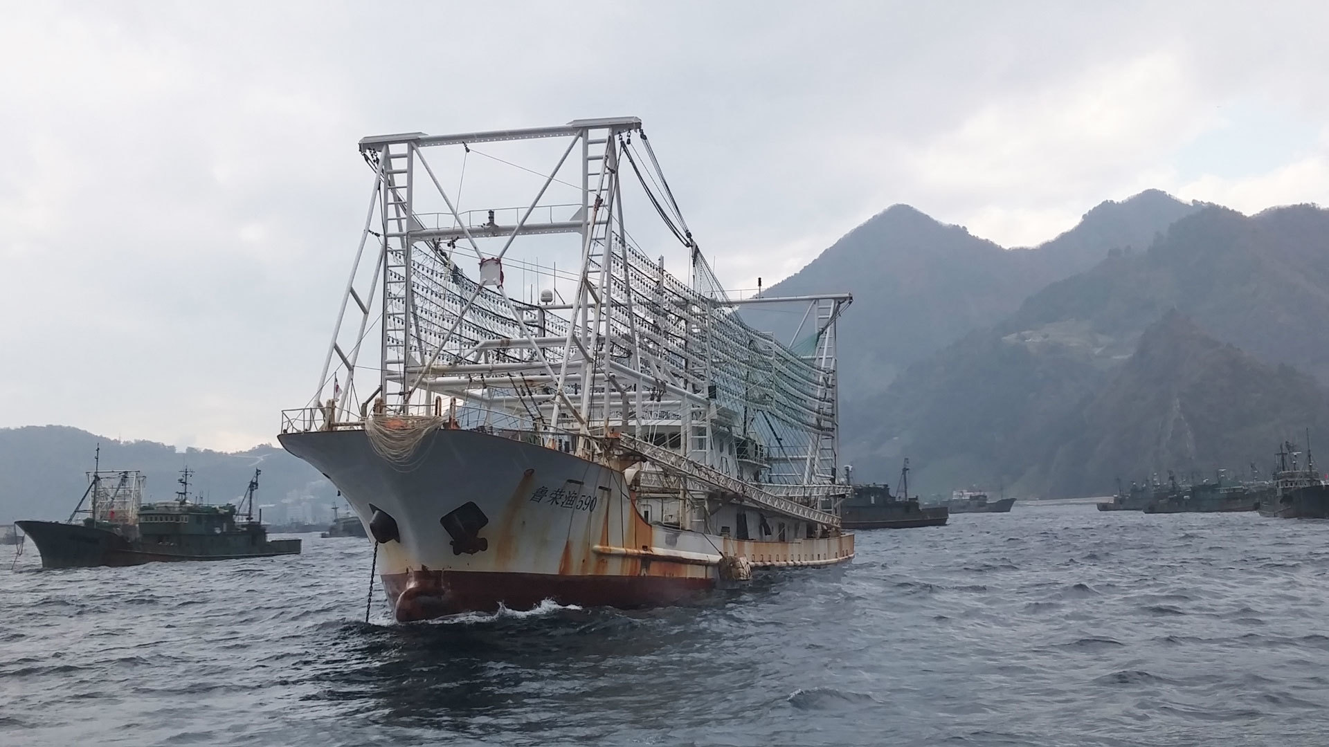 How China's Expanding Fishing Fleet Is Depleting the World's Oceans - Yale  E360