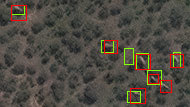 Elephants in woodland as seen from space. Green rectangles show elephants detected by the algorithm, red rectangles show elephants verified by humans.