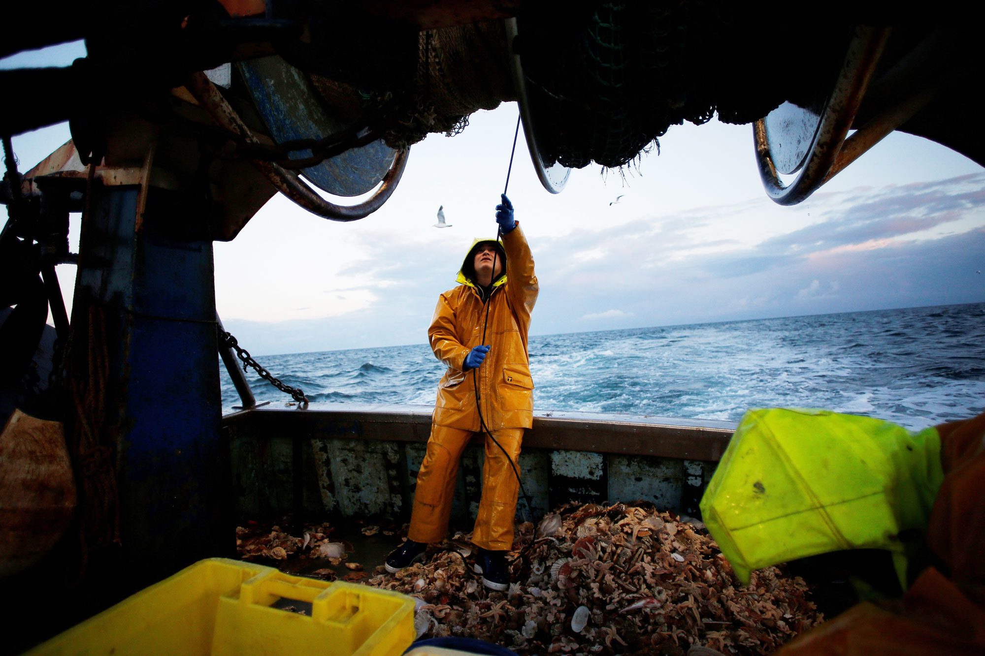 Commercial fishing is an important maritime industry