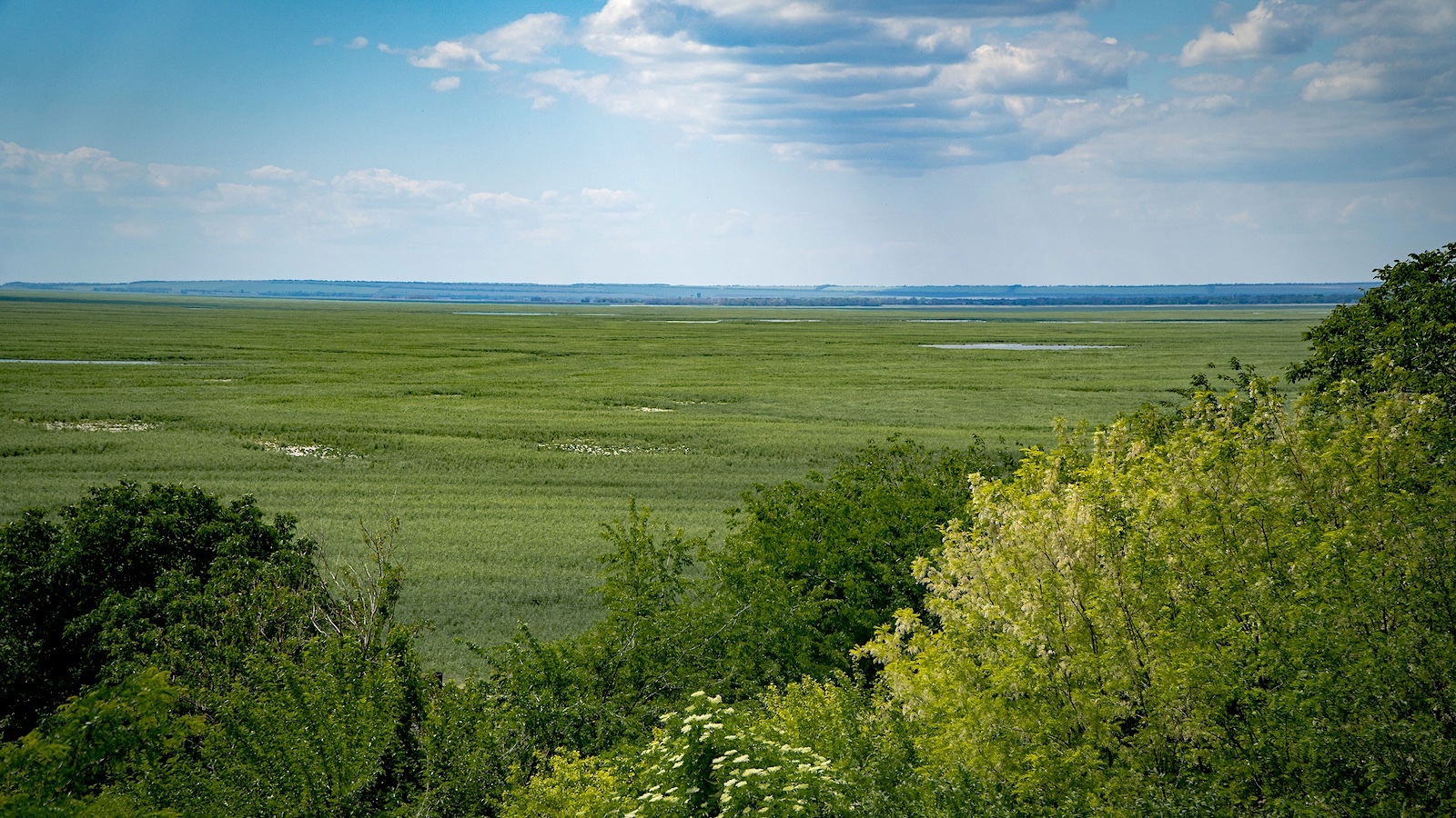 photo of Ukraine Rewilding: Will Nature Be Allowed to Thrive When War Ends? image