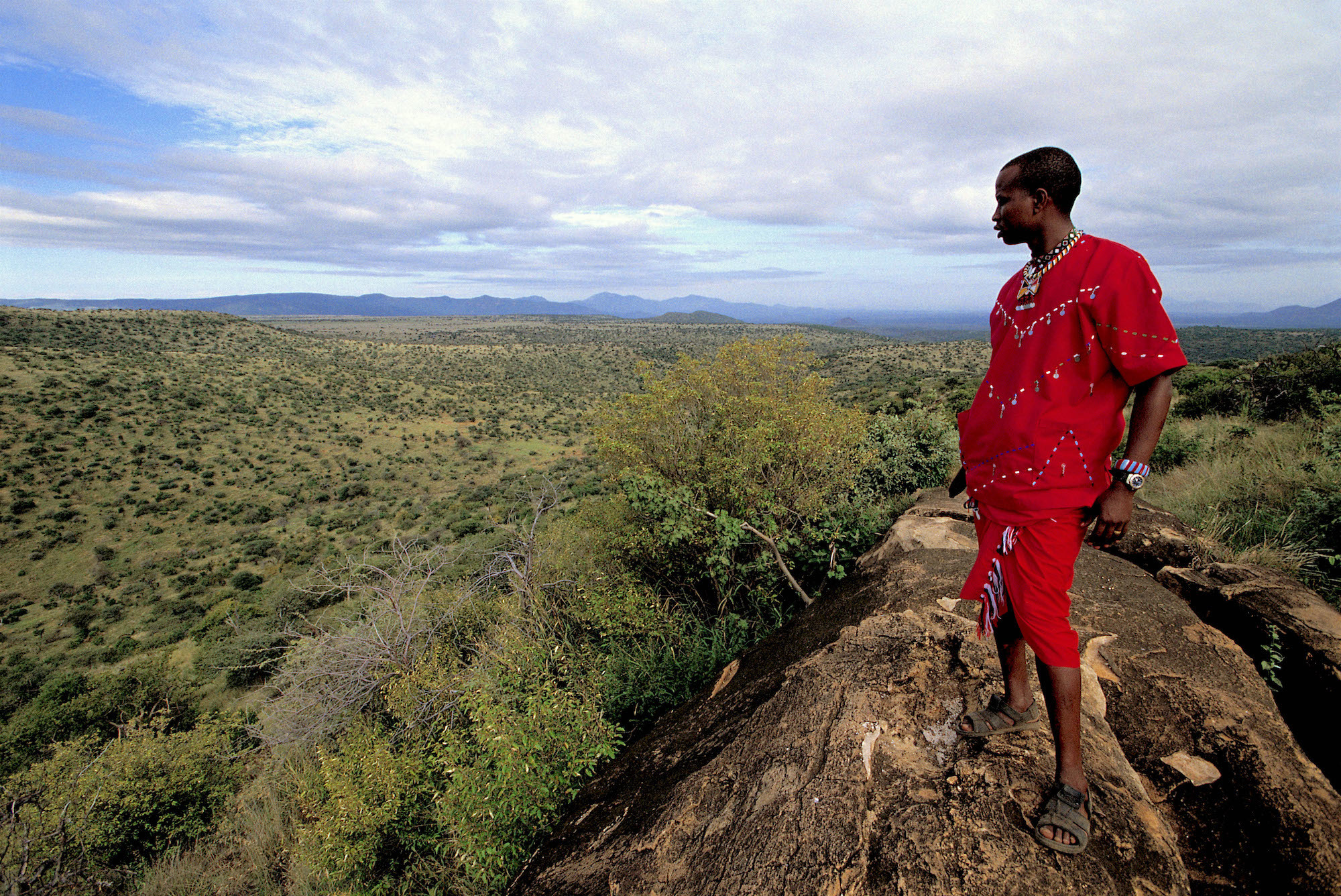 Amid Pandemic, Tribal-Run Conservation in Africa Proves Resilient