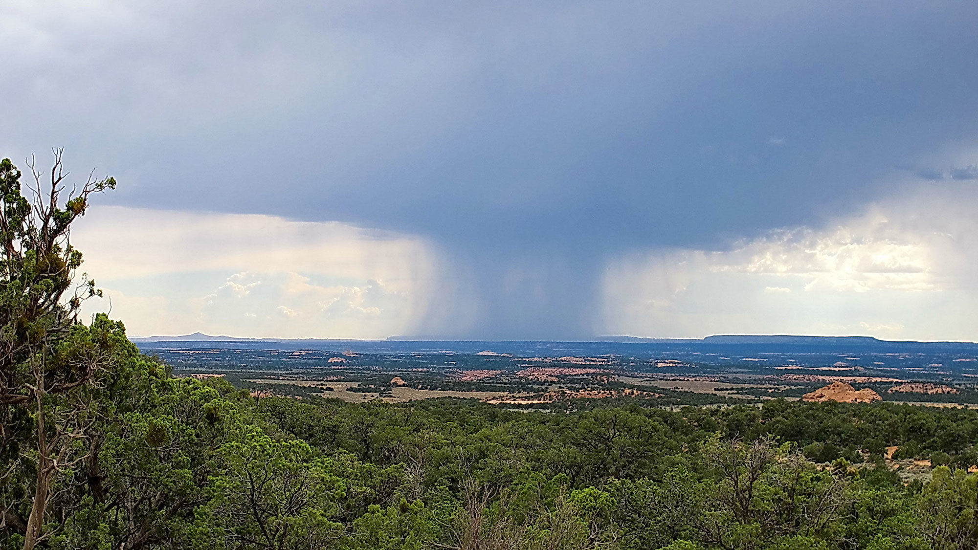Monsoon Rains Have Become More Intense in the U.S. Southwest
