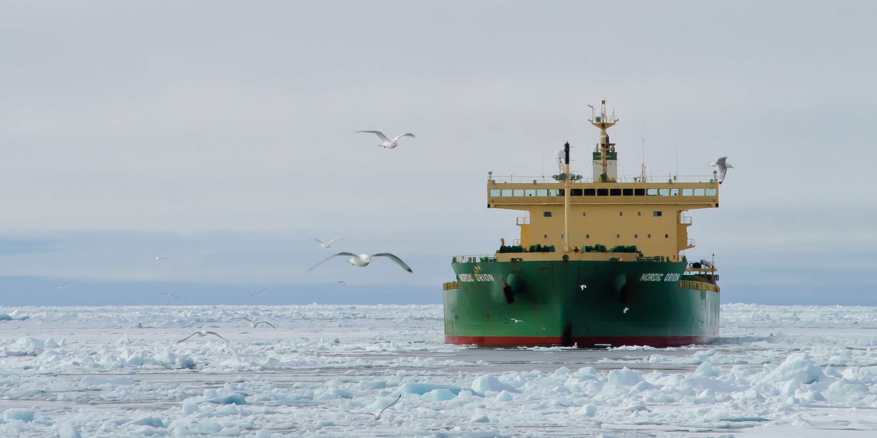 Shipping Plans Grow as Arctic Ice Fades - Yale E360