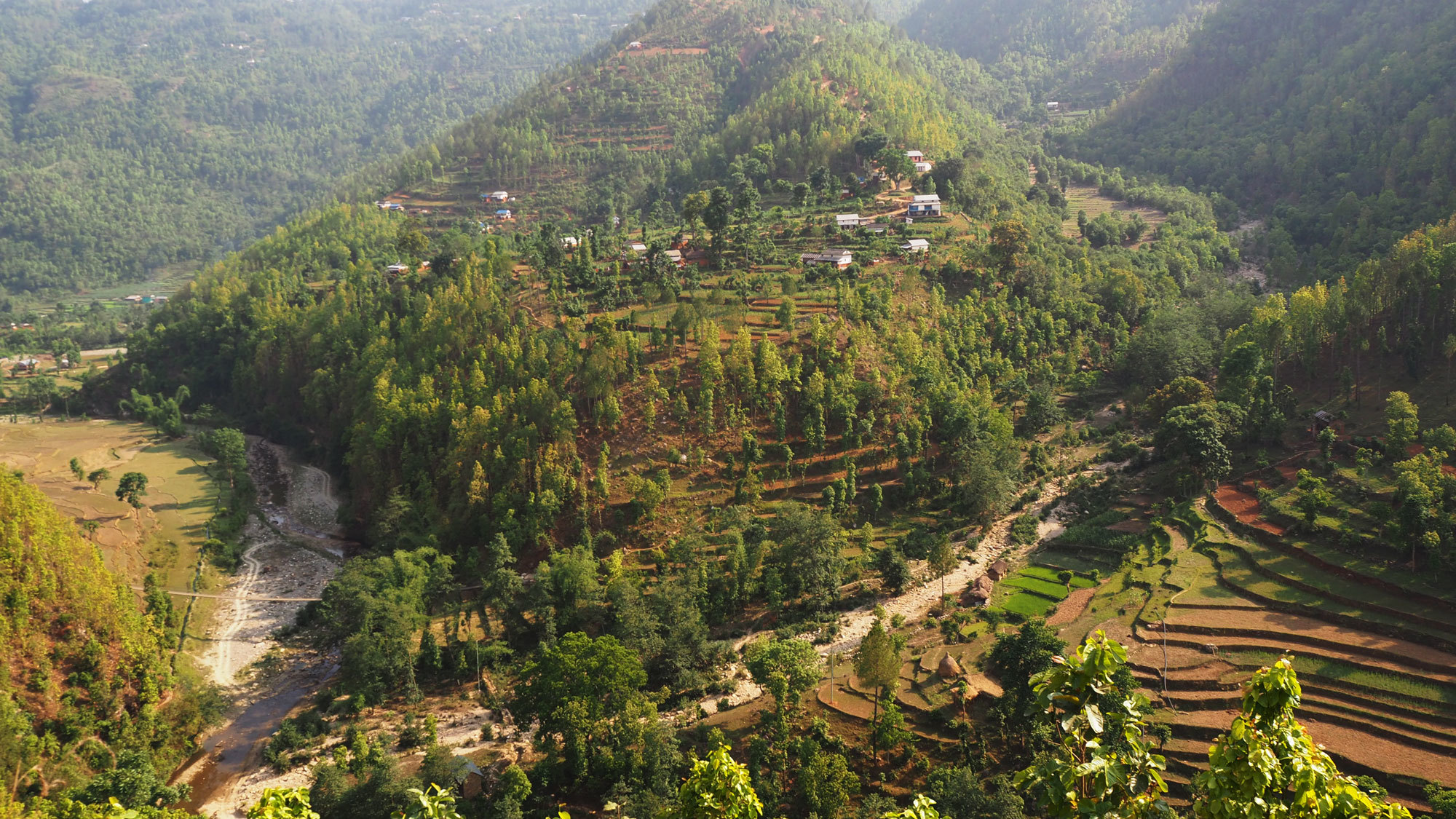 In Nepal  Out Migration Is Helping Fuel a Forest  