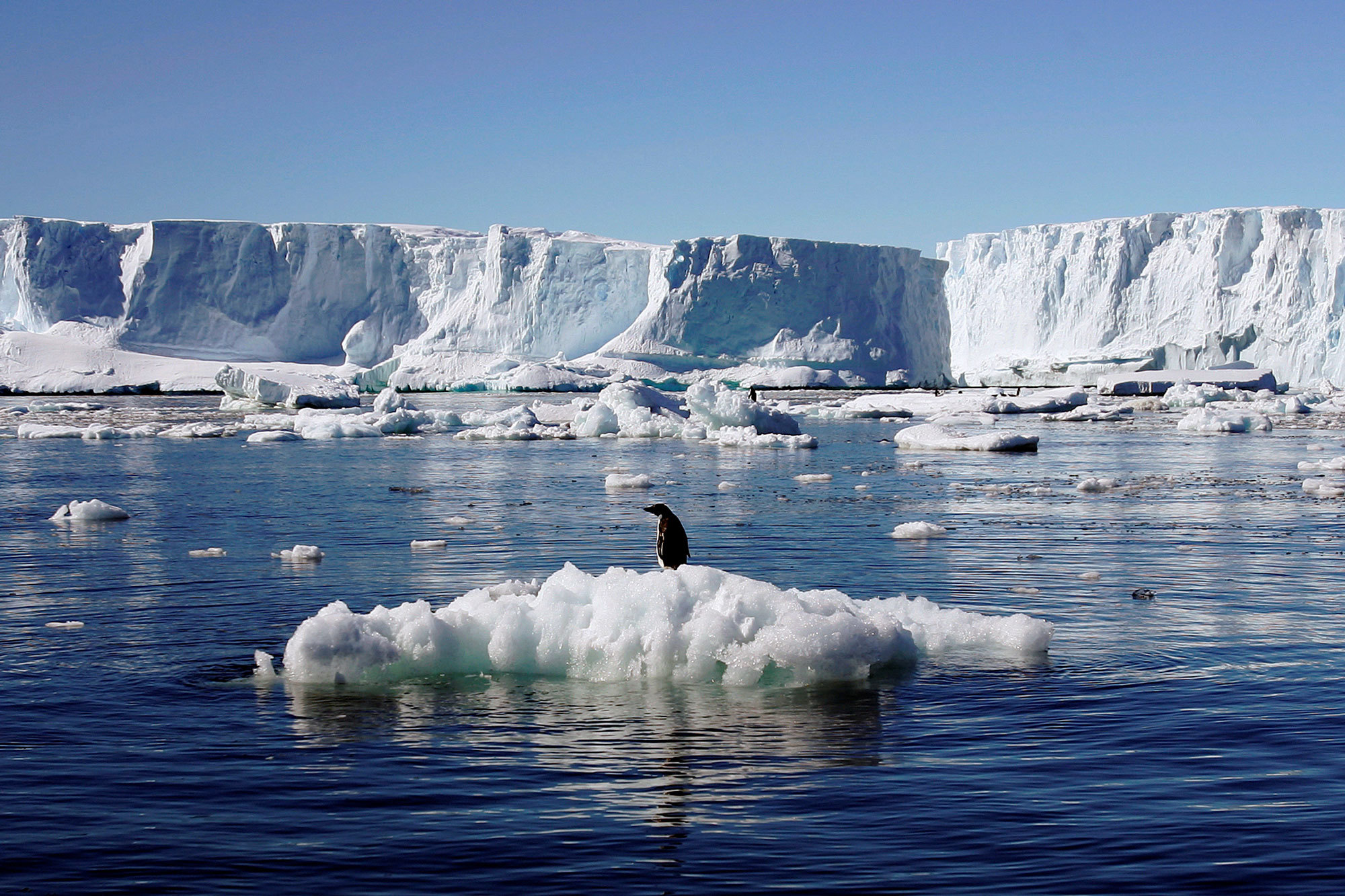 Polar Warning Even Antarctica S Coldest Region Is Starting To