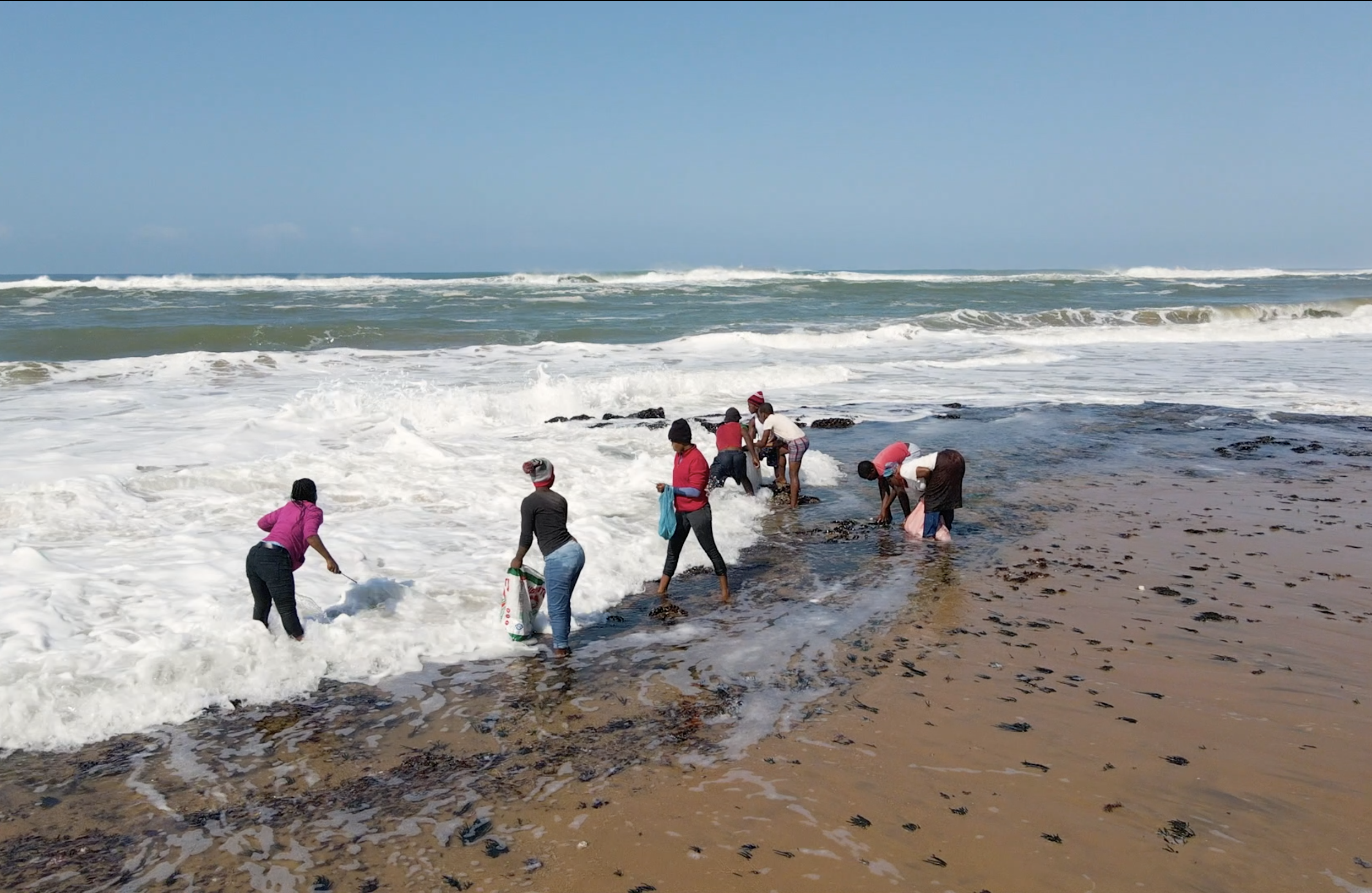photo of On South African Shores, Women Carry on a Harvest Once Denied image