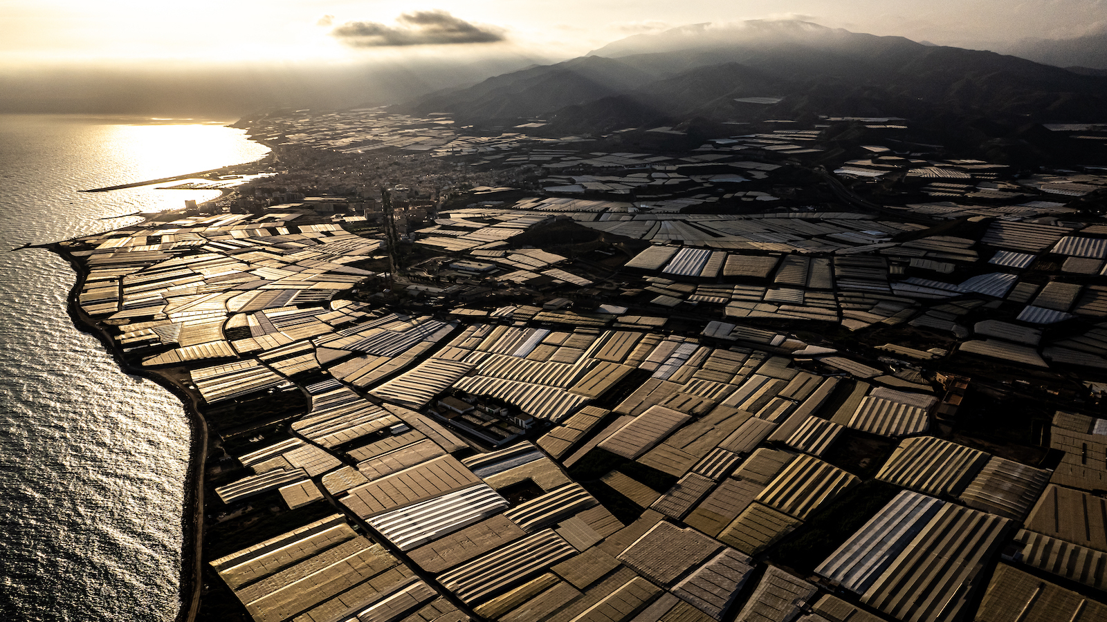 photo of How a Global Boom in Greenhouses Is Having a Cooling Effect image