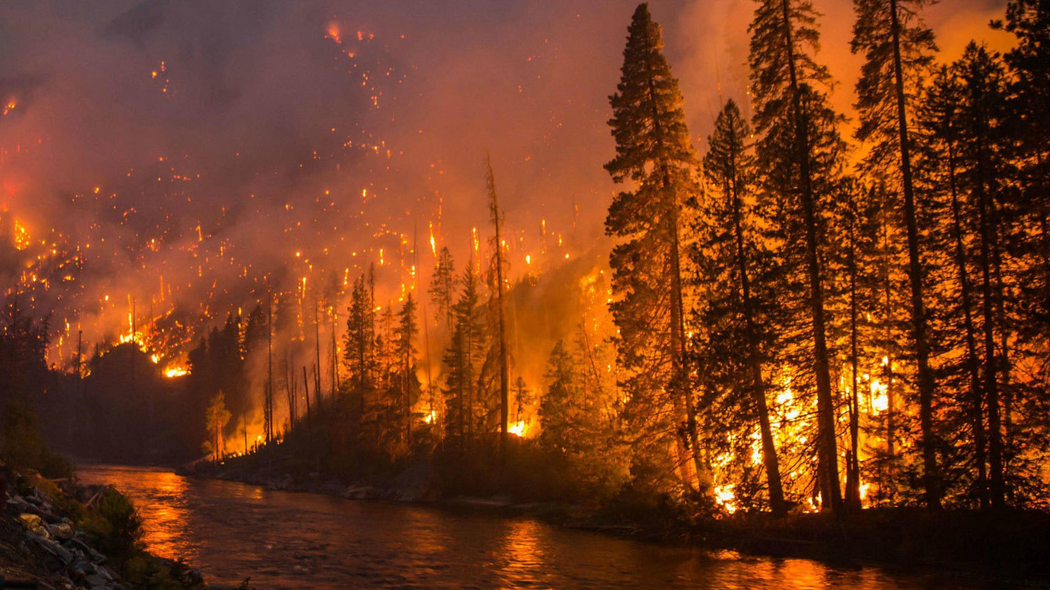 ¿Puedes sobrevivir en un río durante un incendio forestal?