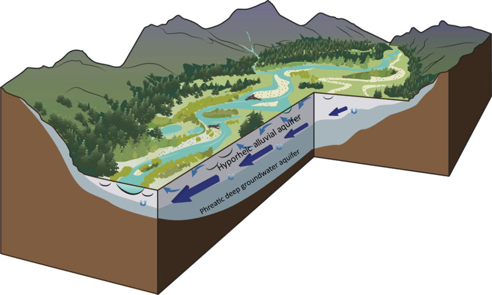 A New Way of Understanding What Makes a River Healthy Yale E360