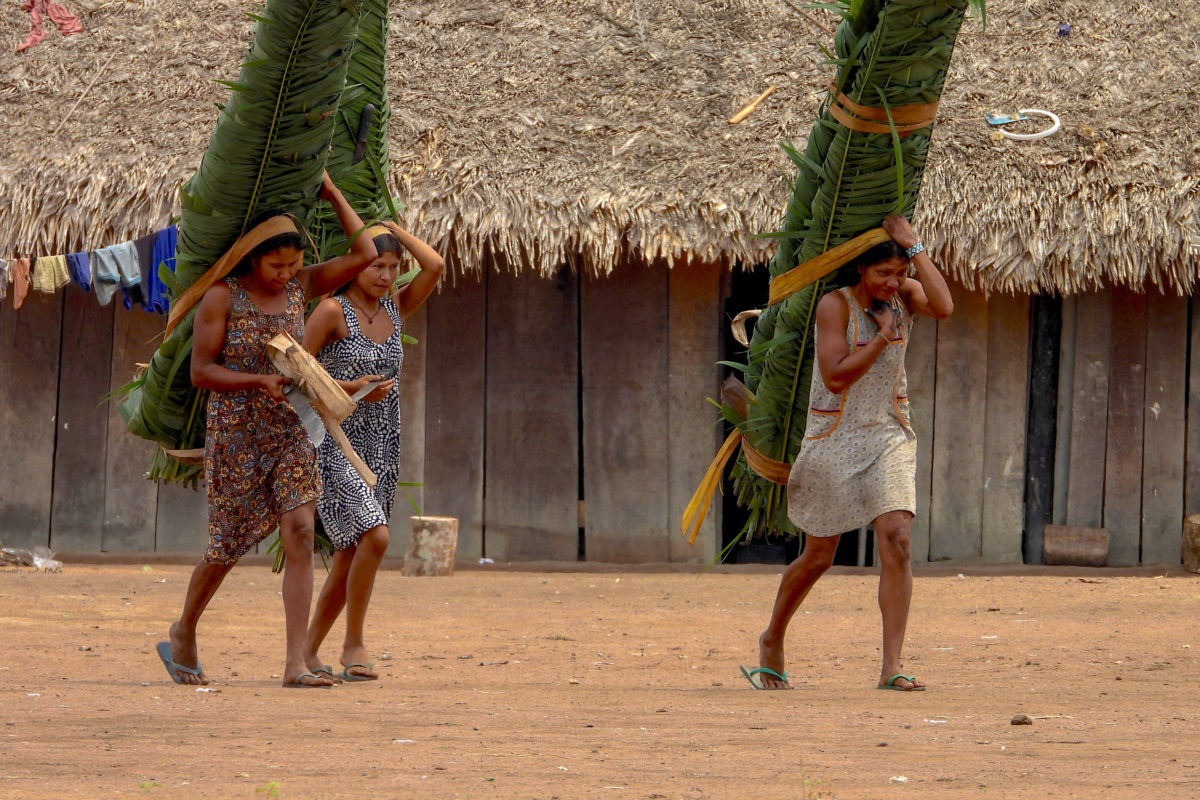 For the Kayapó, a Long Battle to Save Their Amazon Homeland - Yale E360