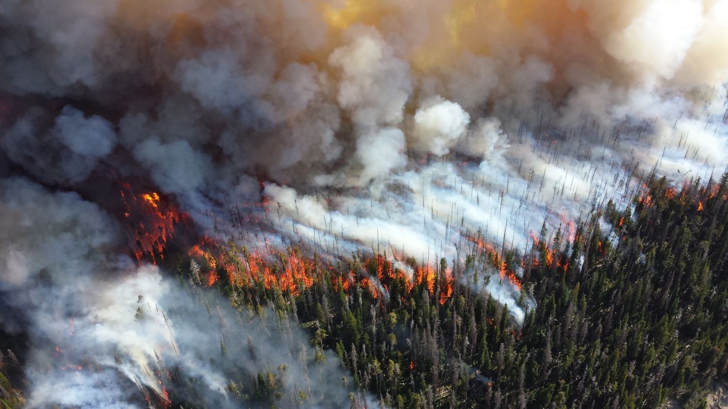 Wildfire smoke can infiltrate your home, even when windows are closed »  Yale Climate Connections