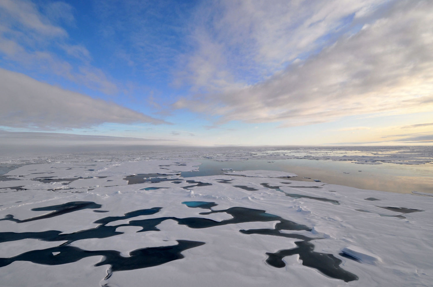 Climate explained: why is the Arctic warming faster than other parts of the  world? - International Science Council