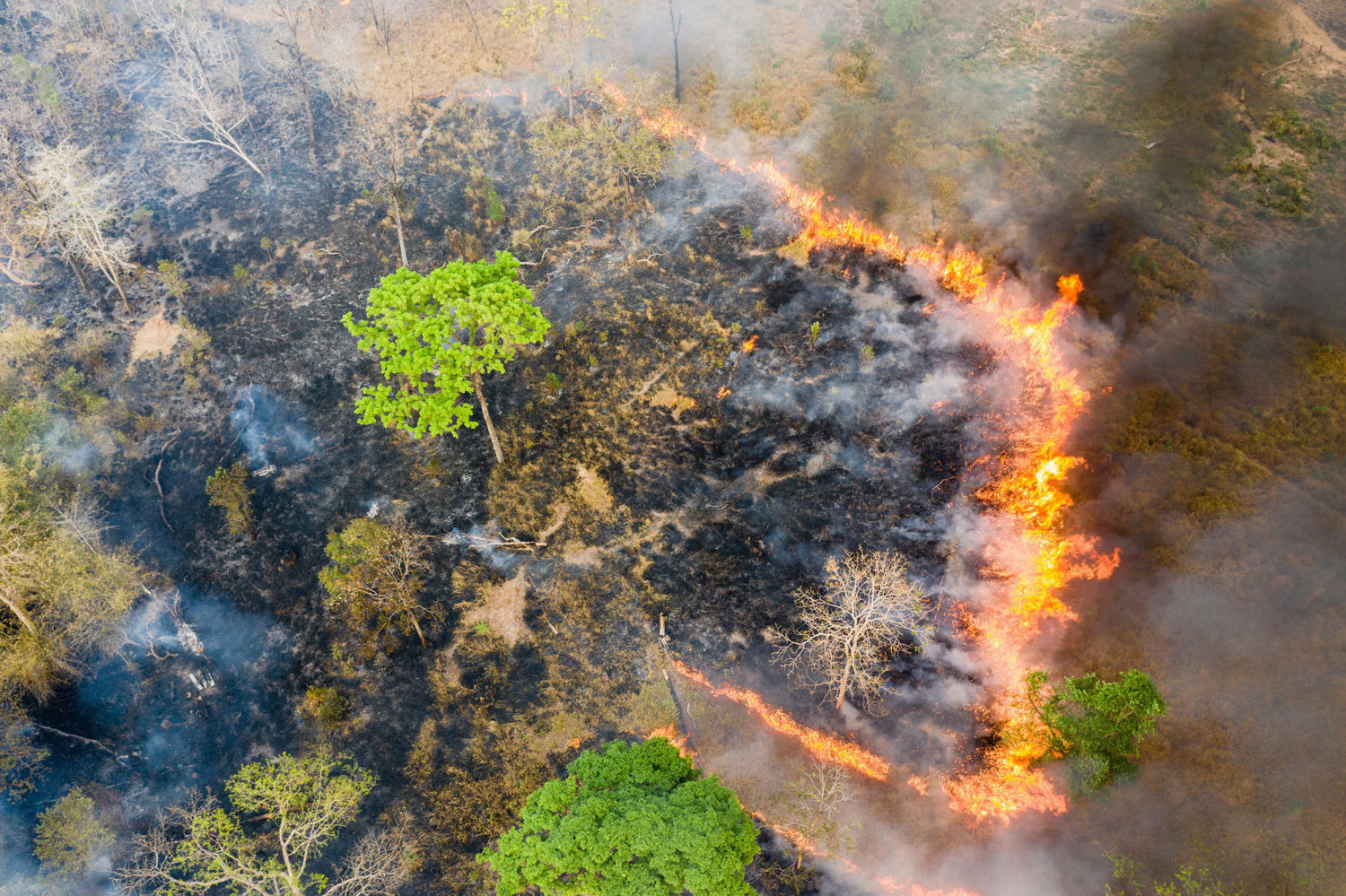 Aerial view of burning near the Phnom Tnout Phnom Pok Wildlife Sanctuary in northern Cambodia. During the dry season, hundreds of fires rage across the country, many started by loggers and farmers.