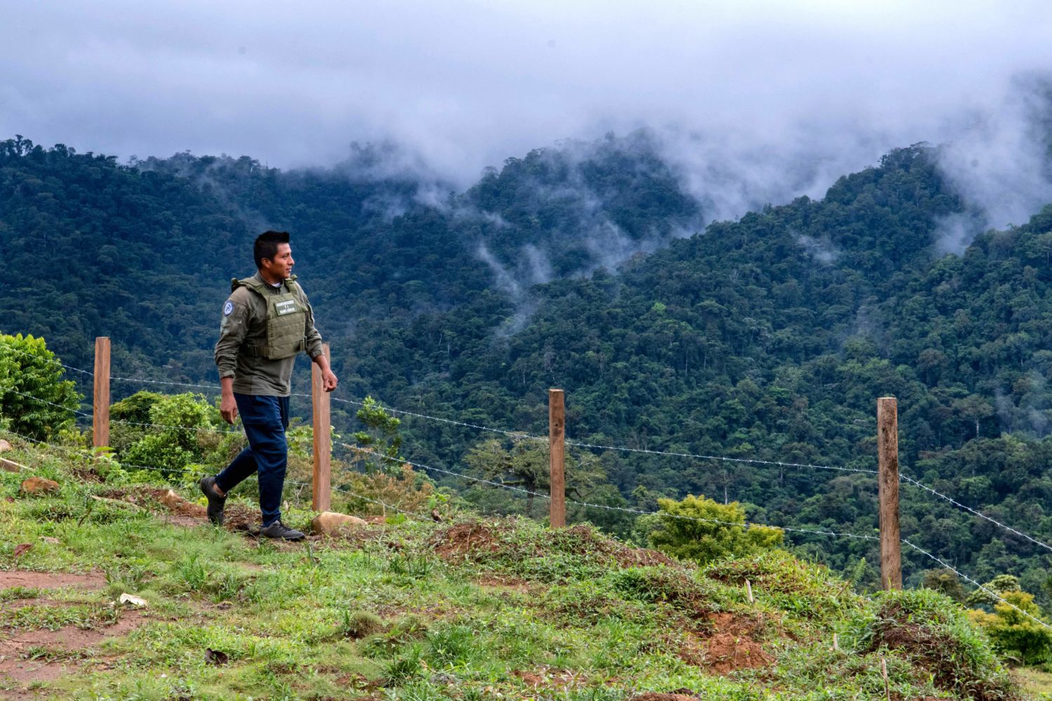 Lauded as Green Model, Costa Rica Faces Unrest in Its Forests - Yale E360