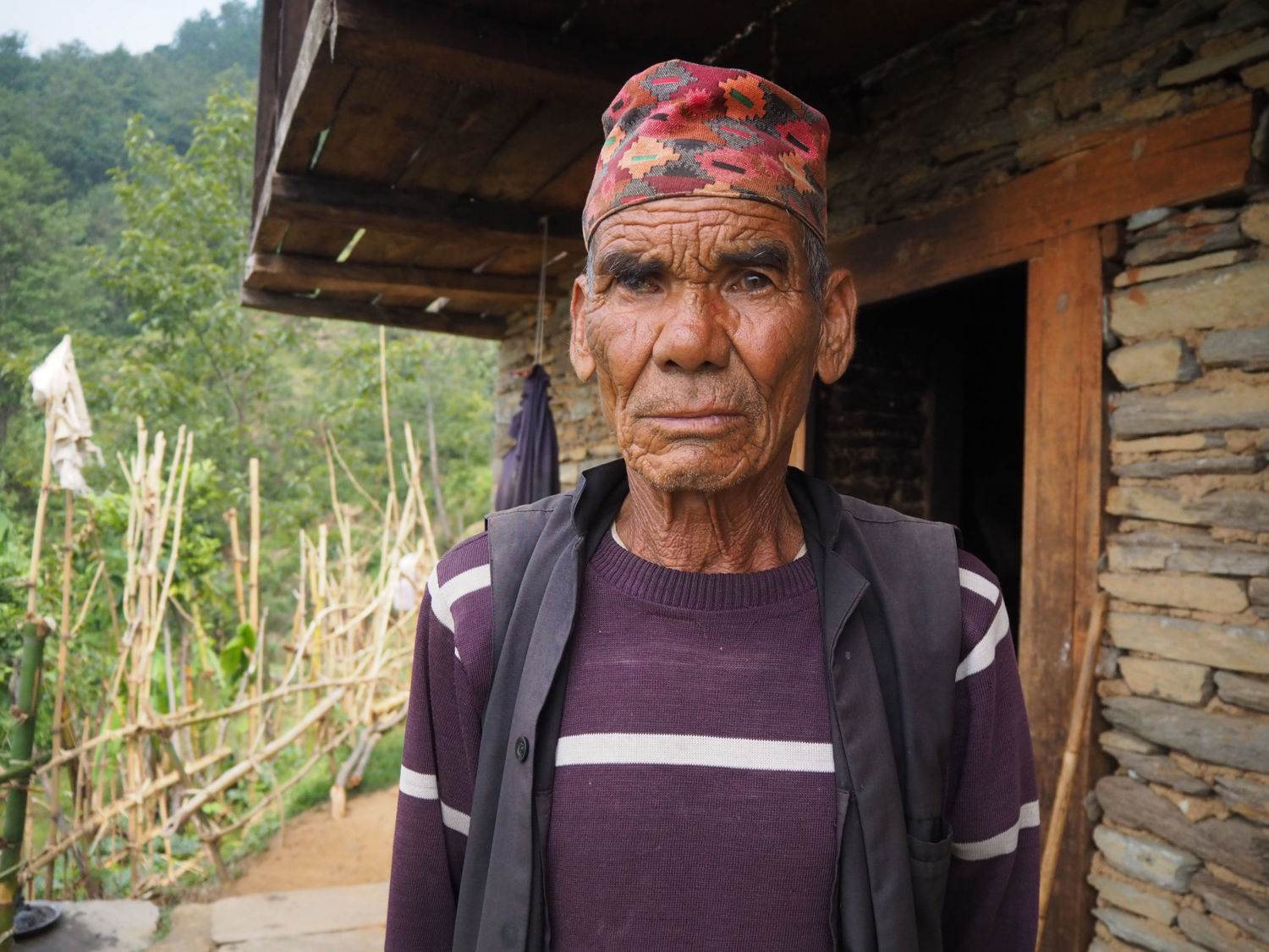 In Nepal, Out-Migration Is Helping Fuel a Forest Resurgence - Yale E360