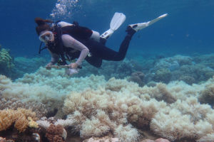 A researcher near Orpheus Island, Australia confirms coral bleaching seen during aerial surveys last month.