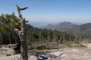 The view from Beetle Rock in Sequoia National Park, California. Smog, containing high levels of ozone, blows in from the San Joaquin Valley.
