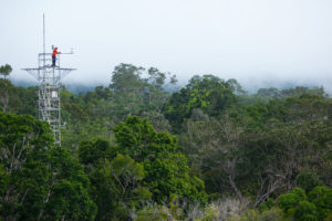 A research tower, part of the AmazonFACE project in Brazil, where scientists measure the forest's response to climate change.