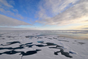 Melt pools atop sea ice in the Arctic Ocean in August 2009.