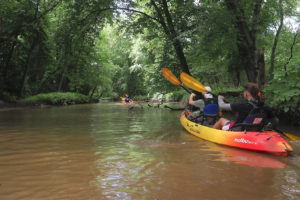 An expedition of naturalists and students kayaks up the Cooper River last month.