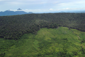Receding forest on a mountainside in West Kalimantan province in Borneo.