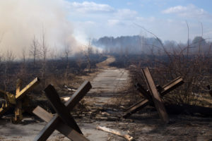 A forest smolders in Byshiv, Ukraine following fighting, March 27, 2022.