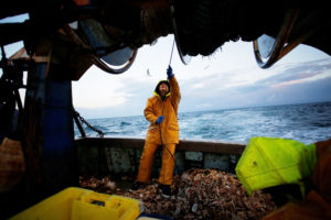 A fisherman aboard a French trawler sorts through a catch of flounder and mackerel. 