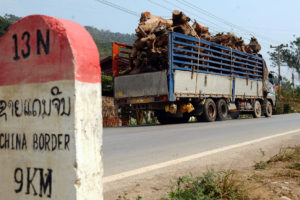 Timber being trucked through the northern Laos province of Louang Namtha on its way to the Chinese border.