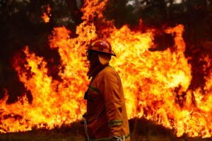 A firefighting crew works to control a blaze in Sydney, Australia in November.