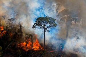 Smoke rises from an illegally lit fire in the Amazon in Para state, Brazil, on August 15.