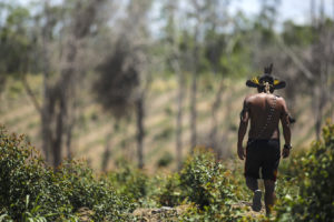 A Guarani man walks through a cleared patch of Brazil's Atlantic Forest that the local Indigenous community is trying to reforest.