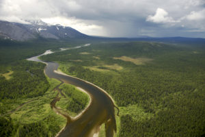 Virgin Komi Forest in the northern Ural Mountains in the Komi Republic, Russia.