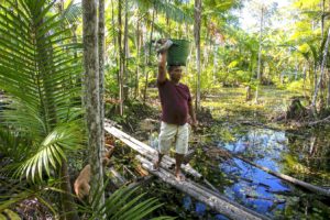 Manoel Moreis carries a basket full of açaí berries harvested from the Amazon rainforest near Pará, Brazil.
