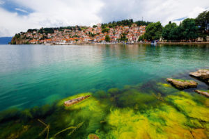 Algae along the shore of Lake Ohrid, North Macedonia. 