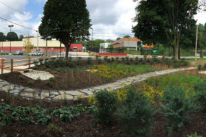 A rain garden manages stormwater runoff in Philadelphia's Germantown section.
