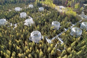 The Marcell Experimental Forest in northern Minnesota. Scientists are simulating different climates in these glass chambers to better understand how boreal forests will respond to rising temperatures.