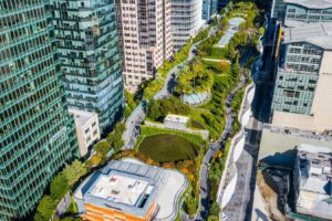 A rooftop wetland on the Salesforce Transit Center in San Francisco filters wastewater from sinks and showers for reuse.