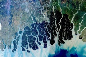 Satellite image of the Sundarbans coastal forest in Bangladesh, which is habitat for the endangered Bengal tiger.