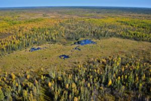 The world’s largest beaver dam, in Wood Buffalo National Park. extends for 2,790 feet. 