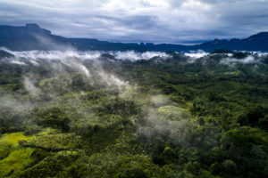 The forest lands of Ribangkadeng village in West Kalimantan, Indonesia.