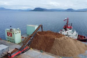 At the startup Running Tide's facility in Iceland, wood chips are loaded onto a barge for disposal at sea.