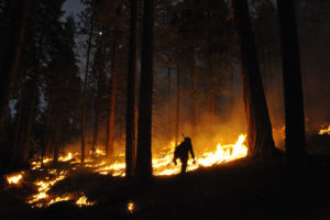 Forest managers set this prescribed burn in California's Stanislaus National Forest.