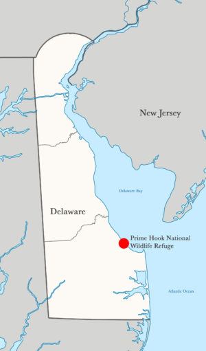Prime Hook National Wildlife Refuge is located near the mouth of Delaware Bay.